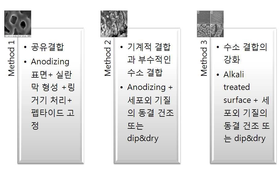 문헌 고찰을 바탕으로 구현 가능한 표면의 선정 (3가지 방법으로 구현)