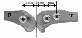 Diagram of Implantation sites (F=Femur, T=Tibia)