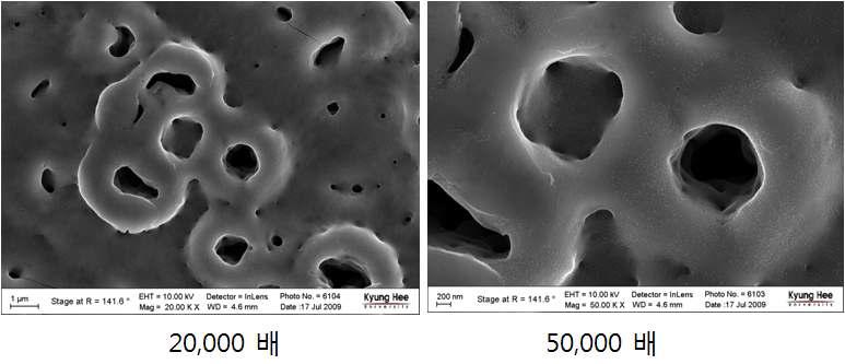 양극산화 표면에 Peptide의 물리적, 화학적 고정 후 SEM 이미지.:SEM 상에서 4~ 8 μm 직경 의 다공성 구조가 관찰이 되며, Peptide의 고정 후에도 이미지상 차이는 나타나지 않았음. 따라서 세포 외 기질 중 Peptide와 같이 작은 기질의 경우 SEM 사진으로 정확한 코팅 양상을 확인하기는 불가능함