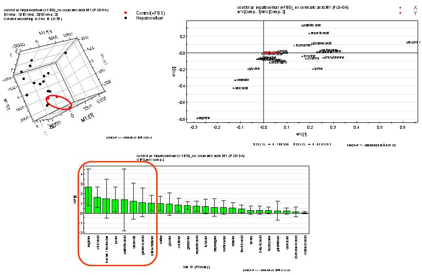 PLS-DA analysis for targeted profiling of endogenous metaboltes compared to (+) FBS control in hepatocelluar pattern drugs (n=3); score plot (up left), loading plot (up right), VIP value (down).