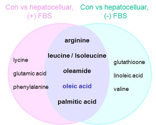 Predictors of drug response for hepatocelluar pattern