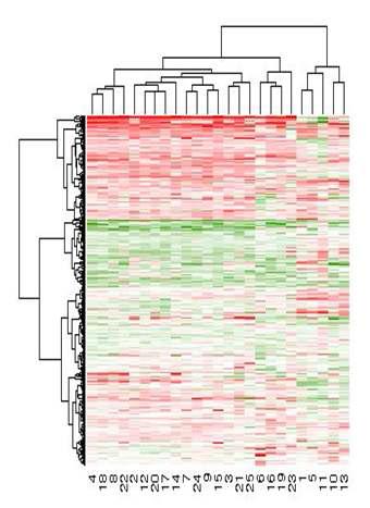 25개의 약물 반응 시스템에서 최소 한번이상 DEGs으로 뽑힌 유전자들의 발현 양상에 대한 clustering 결과. x축: 약물번호, y축: 유전자