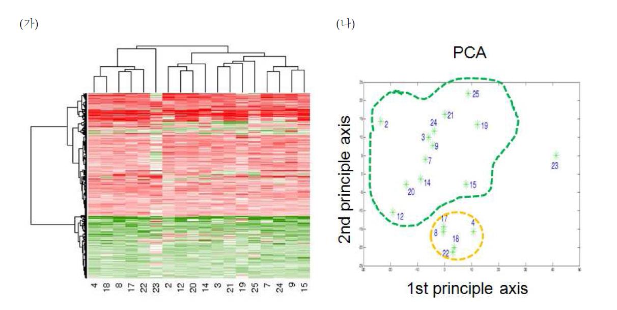(가) 13번 이상 DEGs으로 뽑힌 유전자들의 발현양에 대한 clustering 결과. x축: 약물번호, y축:유전자 (나)유전자 발현양에 대한 PCA분석. x축: 1st principle axis, y축: 2nd principle axis