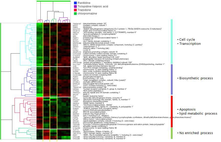 HNF4a와 binding하는 유전자에 대한 hierarchical clustering 및 pathway enrichment 분석