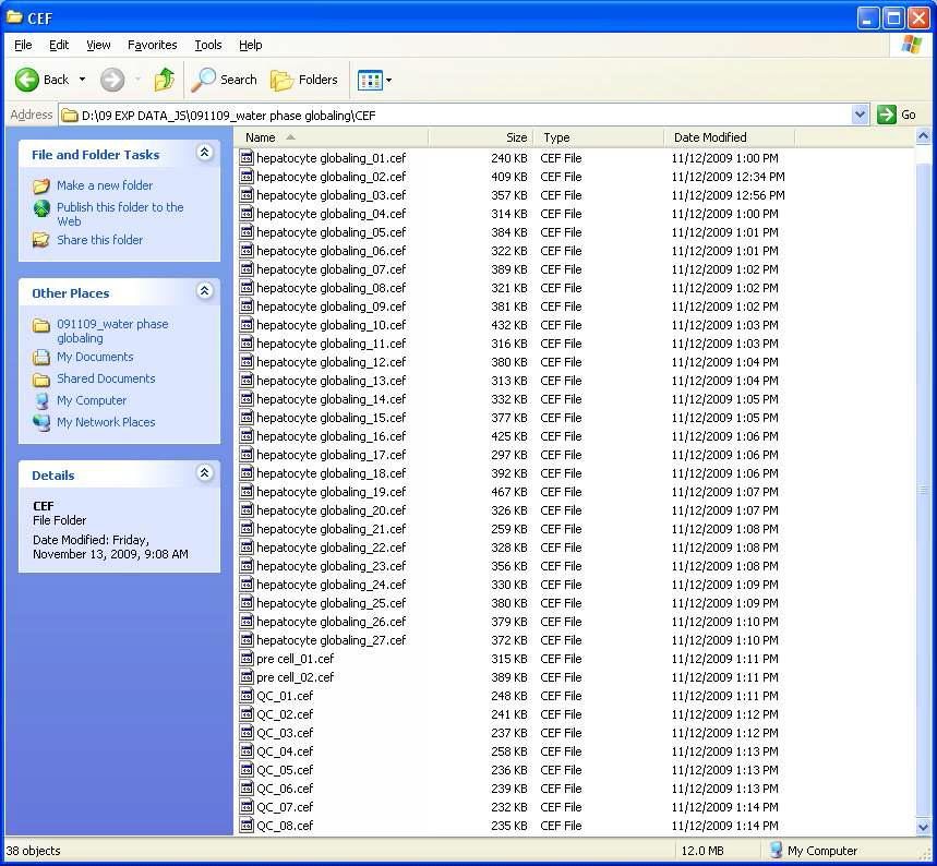 MS data process - CFE files