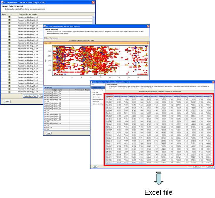 MS data process - MPP 프로그램을 통한 cef 파일의 excel 파일로의 전환