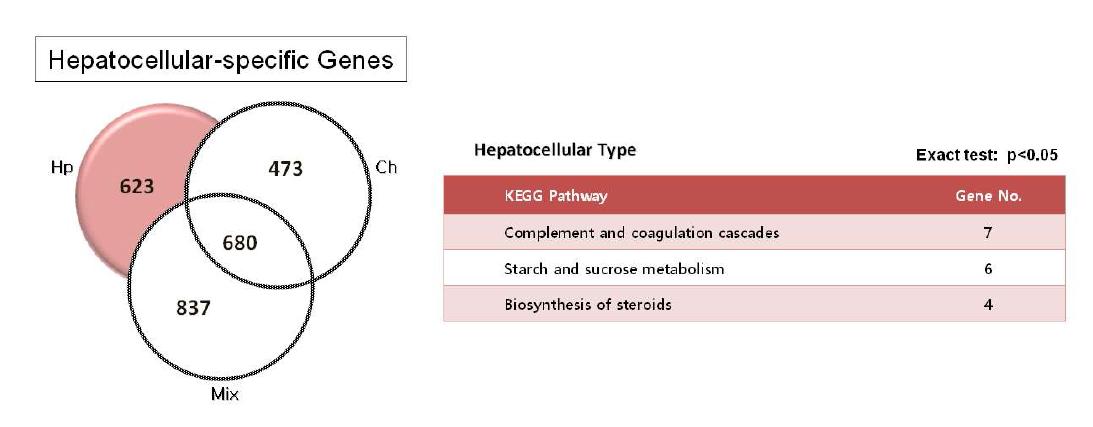 Hepatocellular 특이적 유전자의 발굴