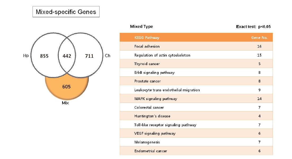 Mixed type 특이적 유전자의 발굴
