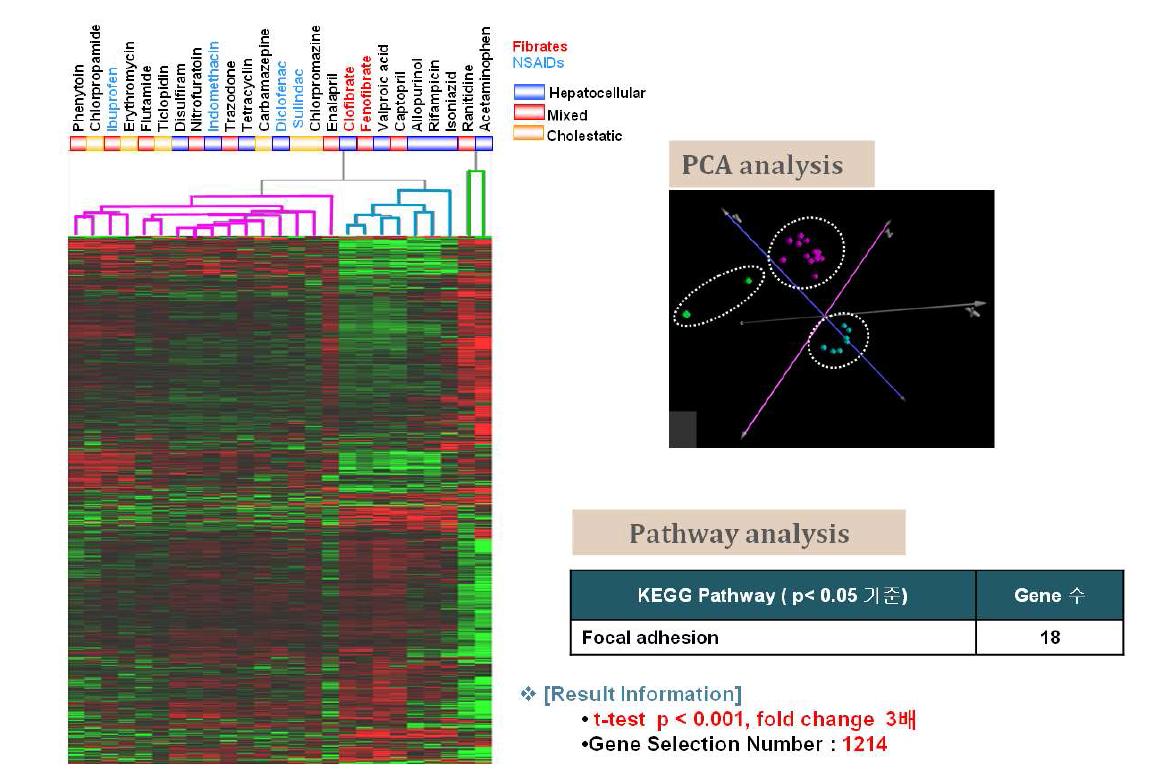 1214개의 유전자에 대한 pathway 분석 결과, focal adhesion pathway에 집중되어 있음을 확인