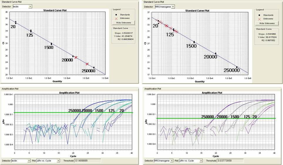 Non-GM 바탕시료에 대한 real-time PCR한 결과의 standard curve plot과 amplification plot이다. 그래프 내에 calibrator의 copy수를 기입하였다. 위 그림의 검은점은 calibrator를 나타내며, 붉은 x는 non-GM 바탕시료를 나타낸다.