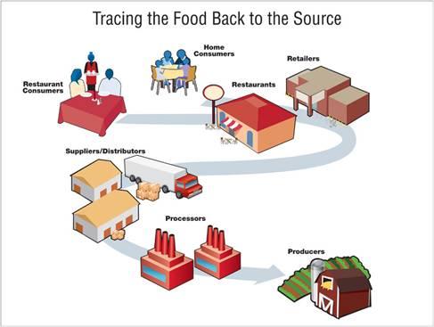 식품오염원의 추적과정(Tracing the food back to the source)