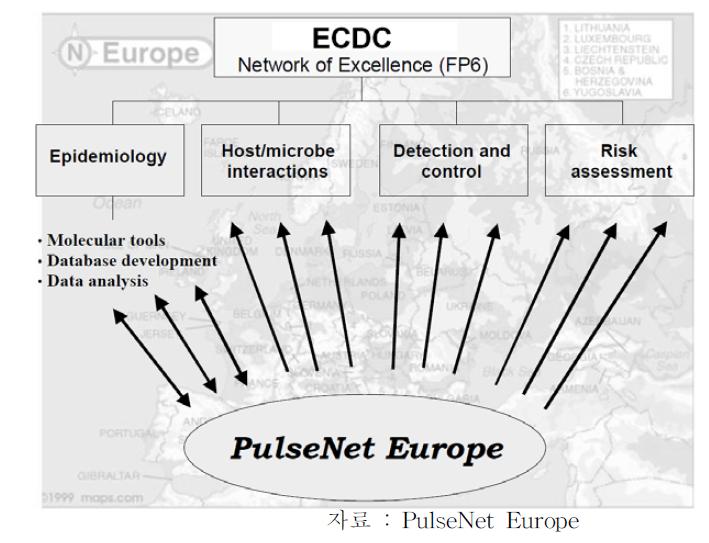 PulseNet Europe 역할(Role of pulseNet Europe, modified)