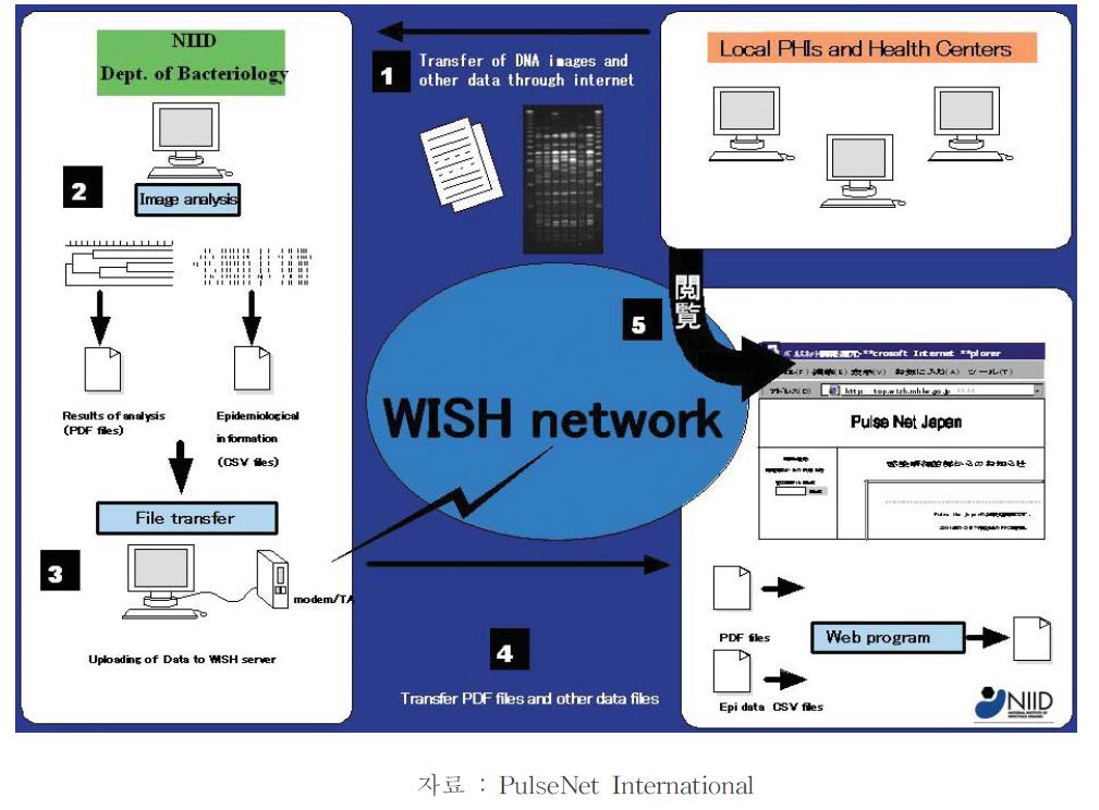 PulseNet Japan의 자료 흐름도(Flow of Data through PulseNet Japan)