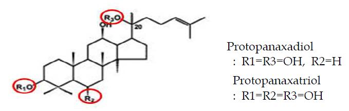 Molecular structure of saponine