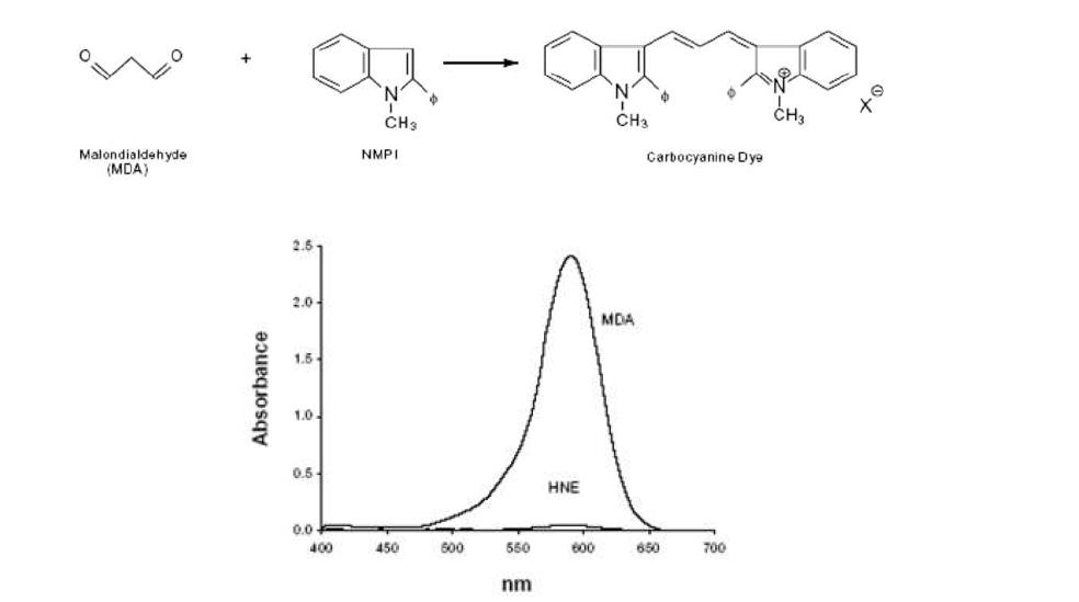 Mechanism of MDA-kit assay