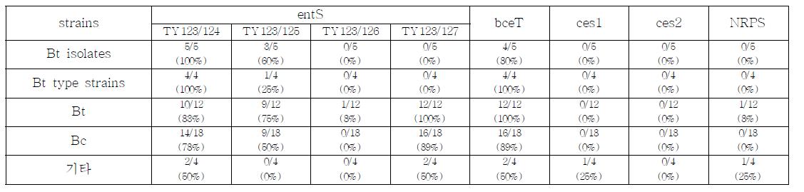 균주별 enterotoxin 과 emetic toxin gene 검출율
