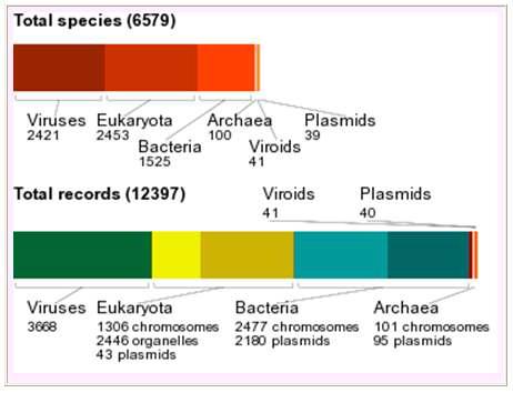 NCBI genome database에 등록된 genome 해석이 완료되거나 현재 해석중인 생물종의 분류 학적 비교