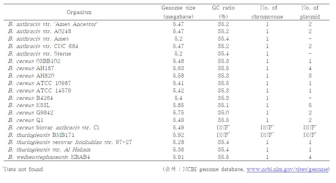 B. cereus group 세균의 genome의 크기와 특성