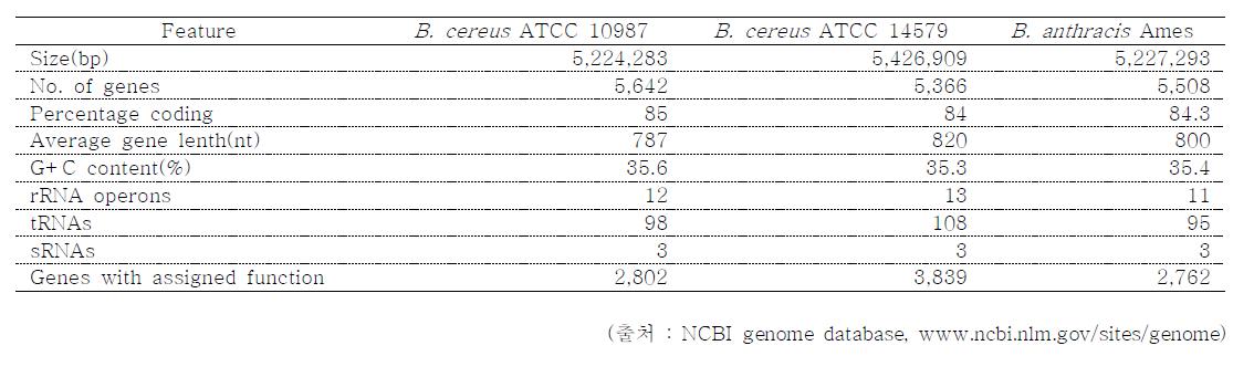 B. cereus와 B. anthracis의 genome 비교