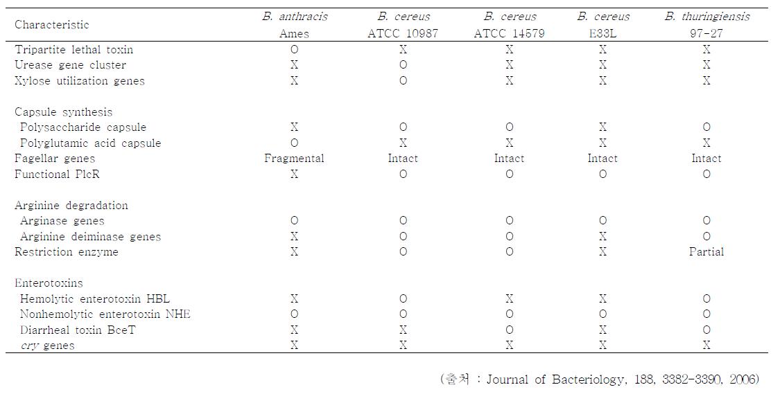 B. cereus group 세균의 주요 표현형 및 병원성 유전자의 특성