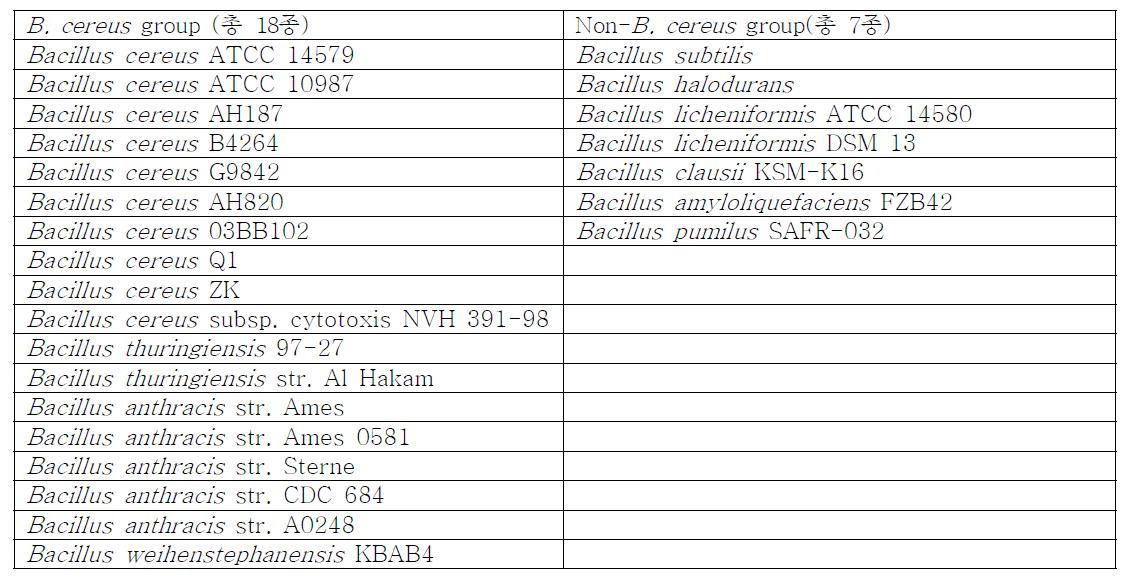 in silico PCR에 사용된 Bacillus spp. 균주 목록