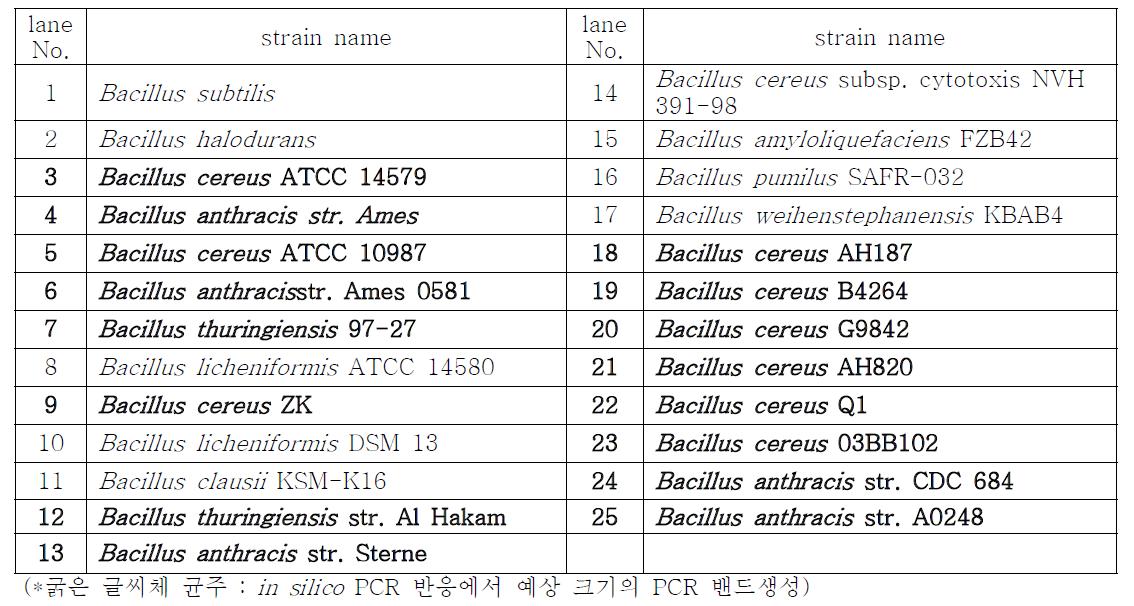 Strains selected for in silico PCR amplification for primers BCFomp1 and BCRomp1