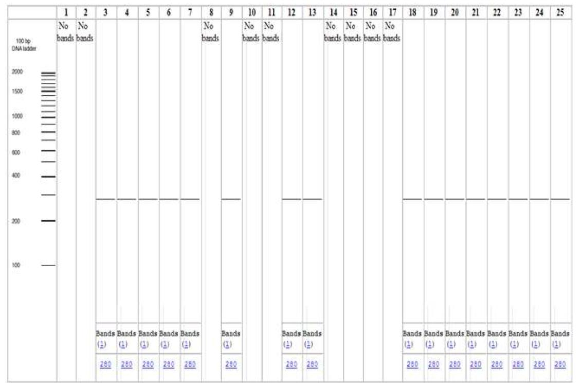 in silico PCR amplification results for primers motB1F and motB1R