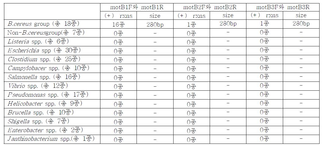 in silico PCR amplification (amplicon productivities and sizes)