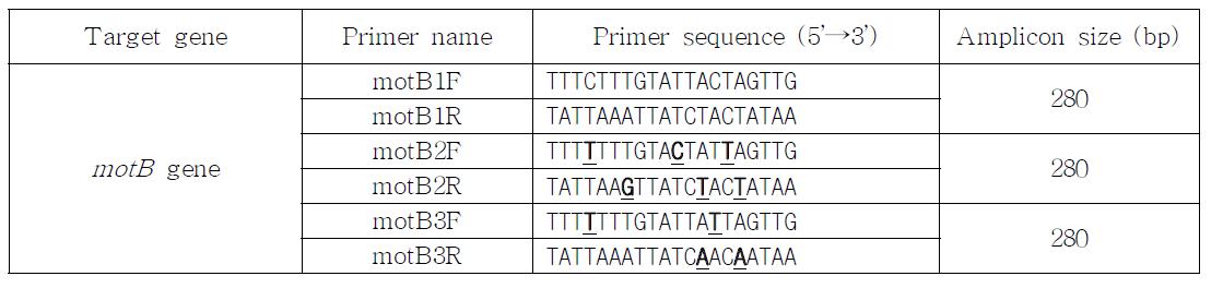 PCR primers used for triplex PCR reaction of motB gene in B. cereus group strains