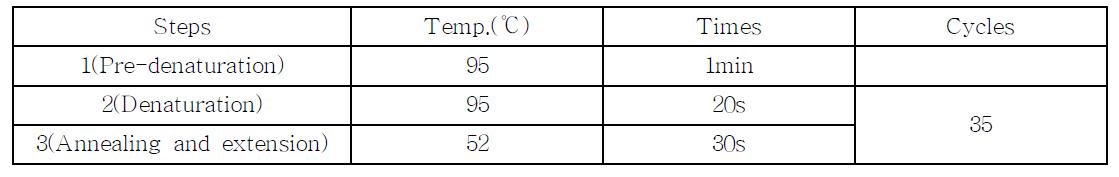 PCR condition