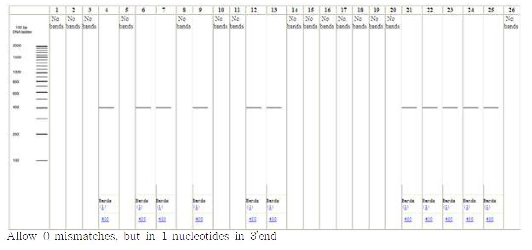 in silico PCR amplification results for primers BCGSH-1F and BCGSH-1R allowing 0 mismatches