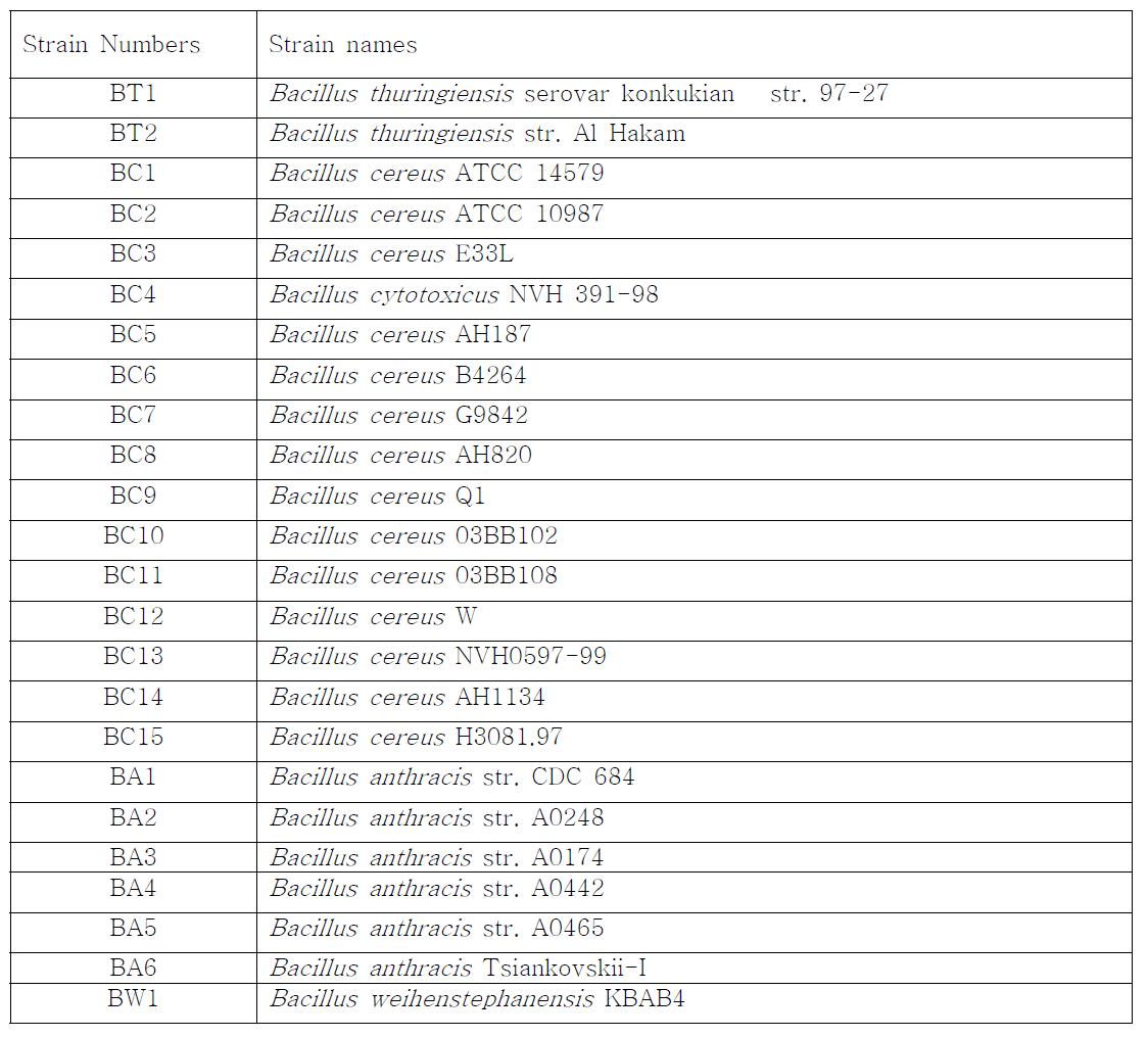 B. cereus group strain names for the previous table