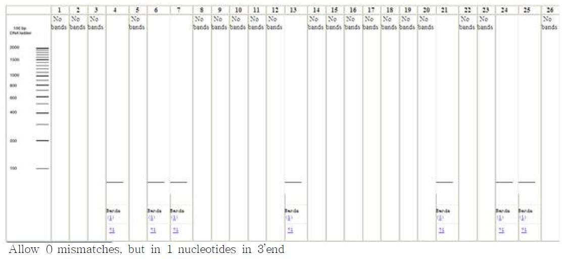 in silico PCR amplification results for primers F1 and R1 allowing 0 mismatches