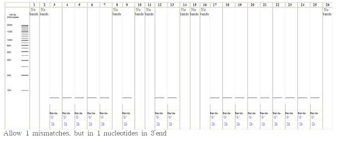 in silico PCR amplification results for primers F1 and R1 allowing 1 mismatches