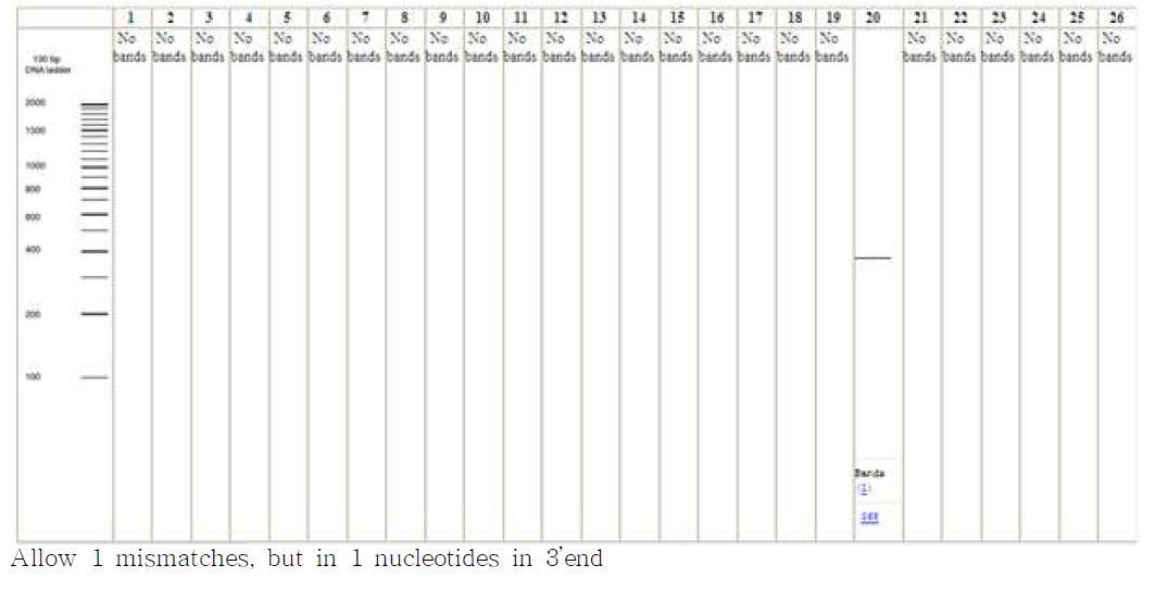 in silico PCR amplification results for primers BT1 and BT2R allowing 1 mismatches