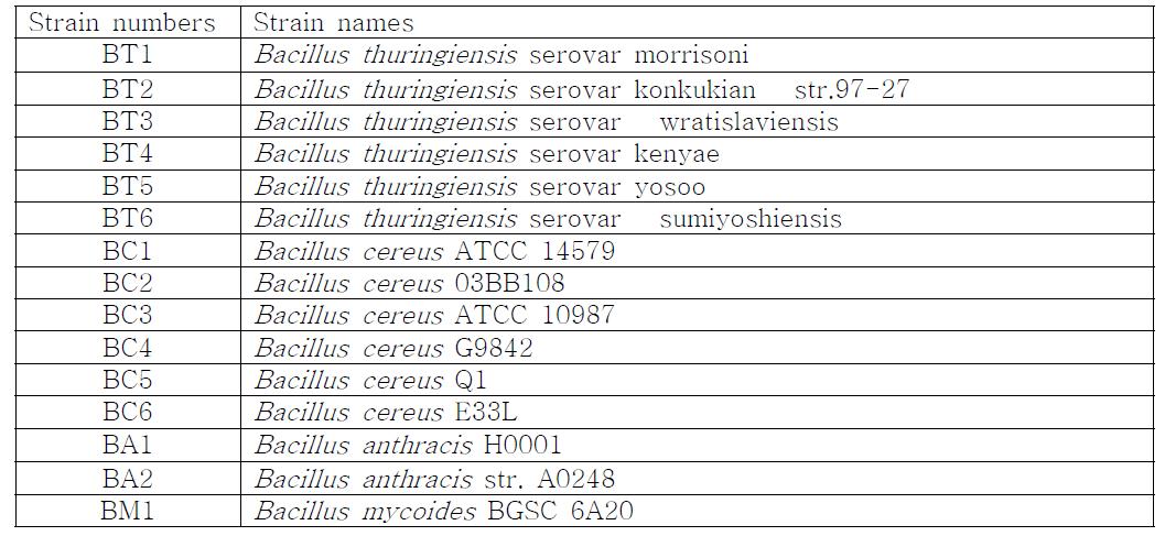 B.cereus group strain names for the previous table