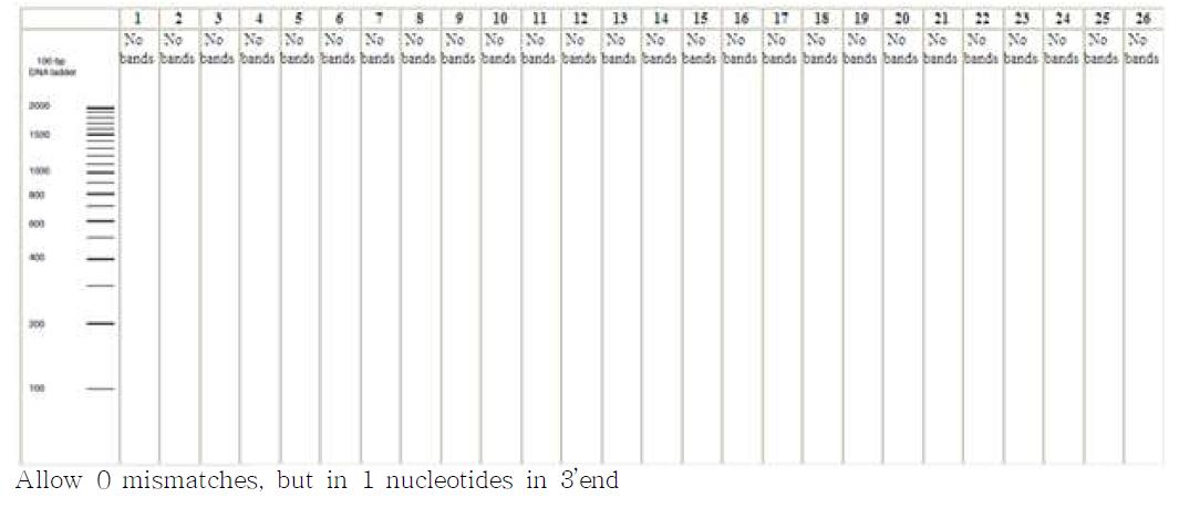 in silico PCR amplification results for primers BTJH-1F and BTJH-R allowing 0 mismatches