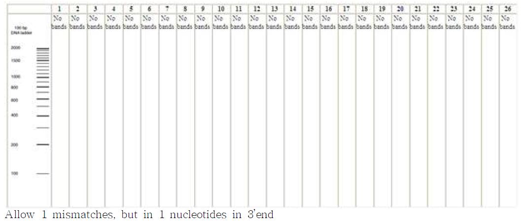 in silico PCR amplification results for primers BTJH-1F and BTJH-R allowing 1 mismatches