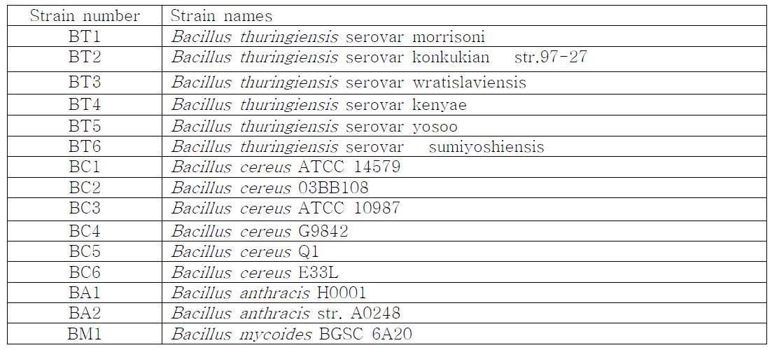 B.cereus group strain names for the previous table