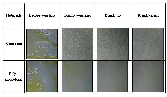 세척 및 건조 중 식기표면의 현미경 관찰, 60배(60X microscopic observation of dishware surfaces during washing and drying)