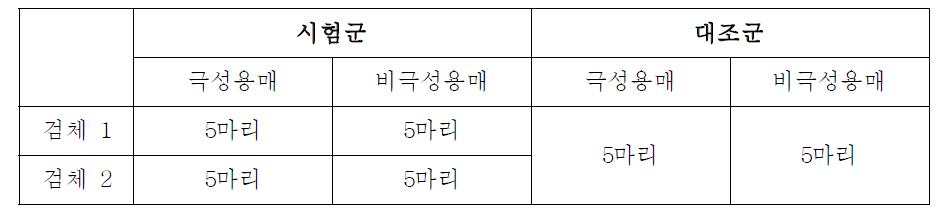 시험군 배정