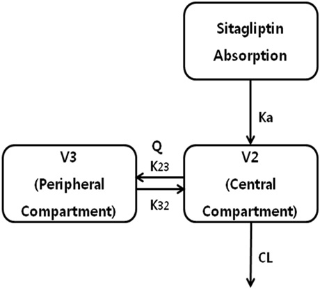 Figure 27. Schematic illustration oftwo-compartment model with first-orderabsorption; the same absorption rate constant forsitagliptin formulations of 25mg, 50mg, 100mgdosage strength