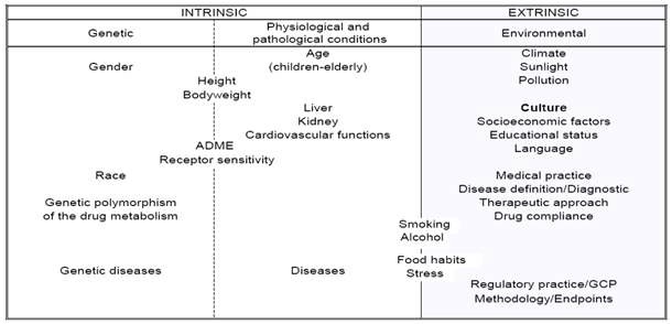 Figure 52. Classification of intrinsic and extrinsic ethnic factors