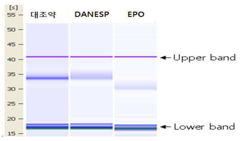 대조약, DANESP, EPO의 Bioanalyzer의 gel image 비교