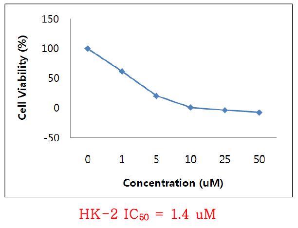 cycloheximide의 in vitro cytotoxicity