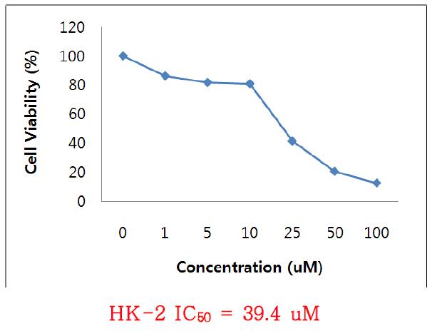 cyclosporin A의 in vitro cytotoxicity