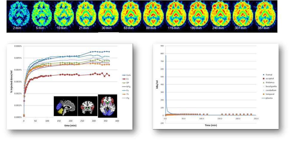 방사성동위원소 표지 할로페리돌과 뇌 PET 영상을 이용한 항정신병의약품 할로페리돌의 표적부위 PK 평가