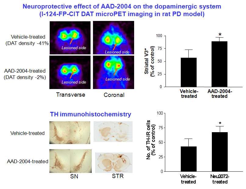신경 퇴행성 질환 신약 후보 물질 AAD-2004의 도파민 신경세포 보호 효과의 전임상 분자영상 연구