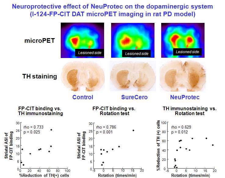 신경 퇴행성 질환 신약 후보 물질 NeuProtec 및 SureCero의 도파민 신경세포 보호효과의 전임상 분자 영상연구