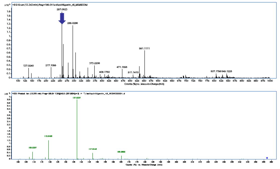 Isoliquritingenin 의 LC/MS spectrum